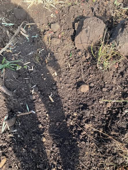 Đất sổ đỏ 1,5ha tại xã Quảng Hiệp, huyện Cư M'gar chỉ 5,1 tỷ - Cơ hội đầu tư lý tưởng!