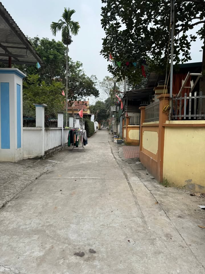 Đất thổ cư Thôn 1, Liên Minh, Đan Phượng 85m² giá 35 tỷ - Đầu tư sinh lời ngay!