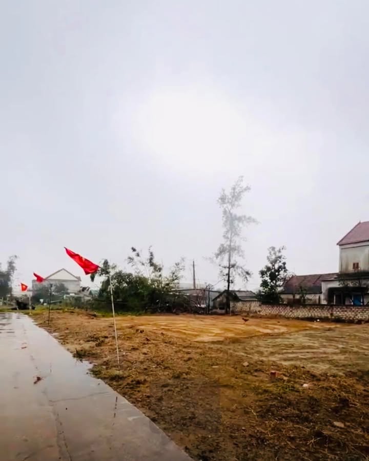Đất thổ cư chính chủ Xã Cổ Đạm 160m² giá 2 tỷ - Cơ hội đầu tư tuyệt vời!