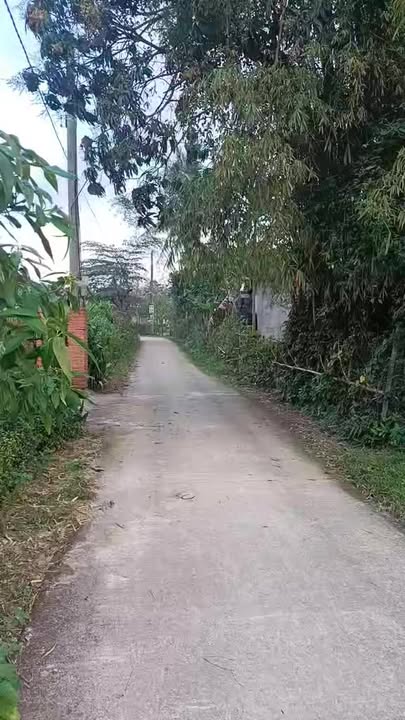 Đất Vườn 796m² tại Mỹ Trang, Đức Phổ - Mặt tiền đẹp, Giá tốt