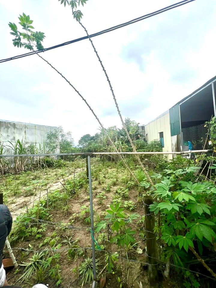 Lô đất hẻm Hoàng Hoa Thám, 83m² giá 400 triệu - Cơ hội đầu tư tuyệt vời!