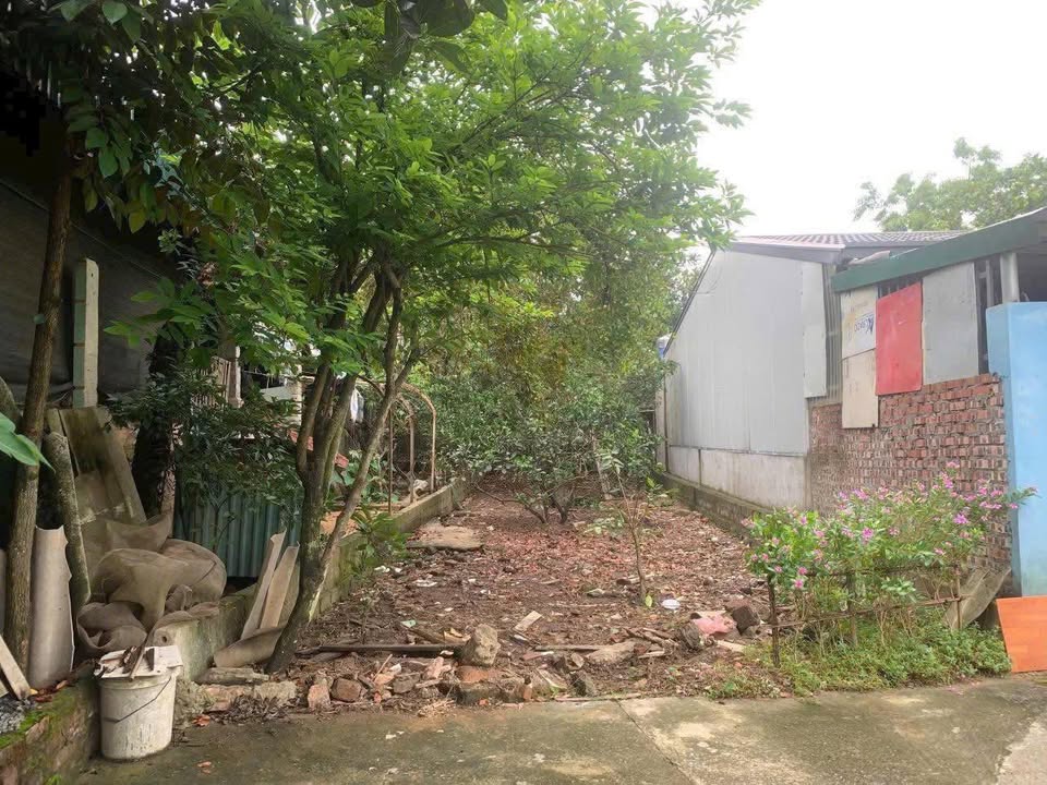 Đất Tùng Thiện Sơn Tây 84m² giá 1 tỷ - Cơ hội đầu tư sinh lời!