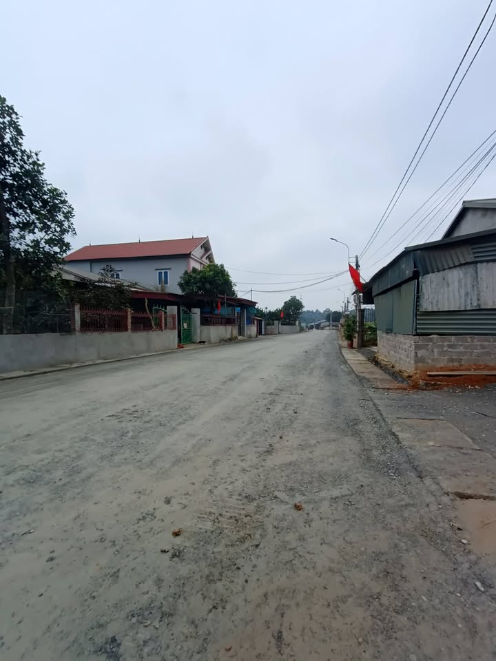 Đất nền Phú Hộ 113m² giá chỉ 8xx triệu - Đầu tư sinh lời ngay!