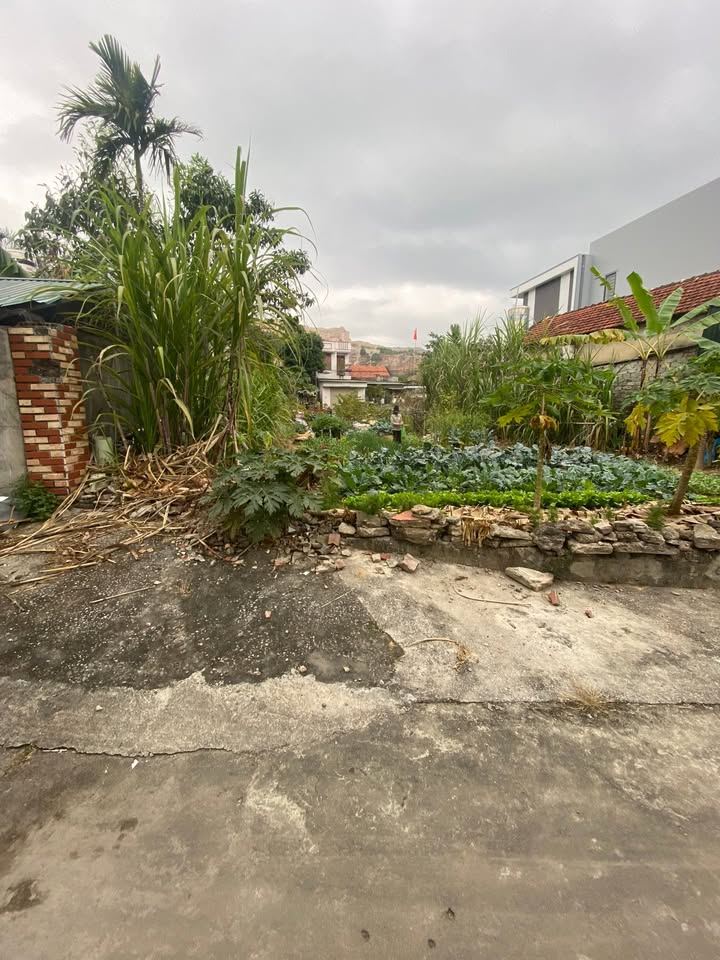 Đất nền khu Bắc Sơn 7 - Phường Vàng Danh, 86.4m² giá thỏa thuận - Cơ hội đầu tư hấp dẫn!