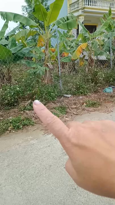 Đất nền Liên Sơn, Gia Viễn 135m² giá 1.3 tỷ - Cơ hội đầu tư hấp dẫn!