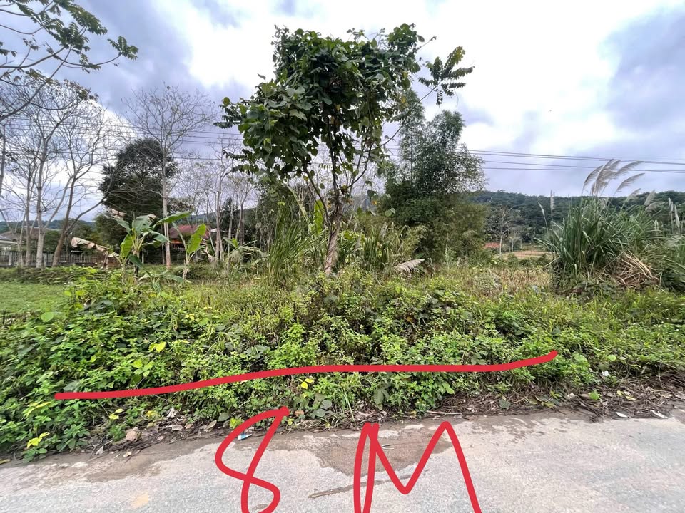 Đất nền tại Đại lộ Hữu Nghị, Hà Giang 94m² - Giá chỉ 800 triệu!