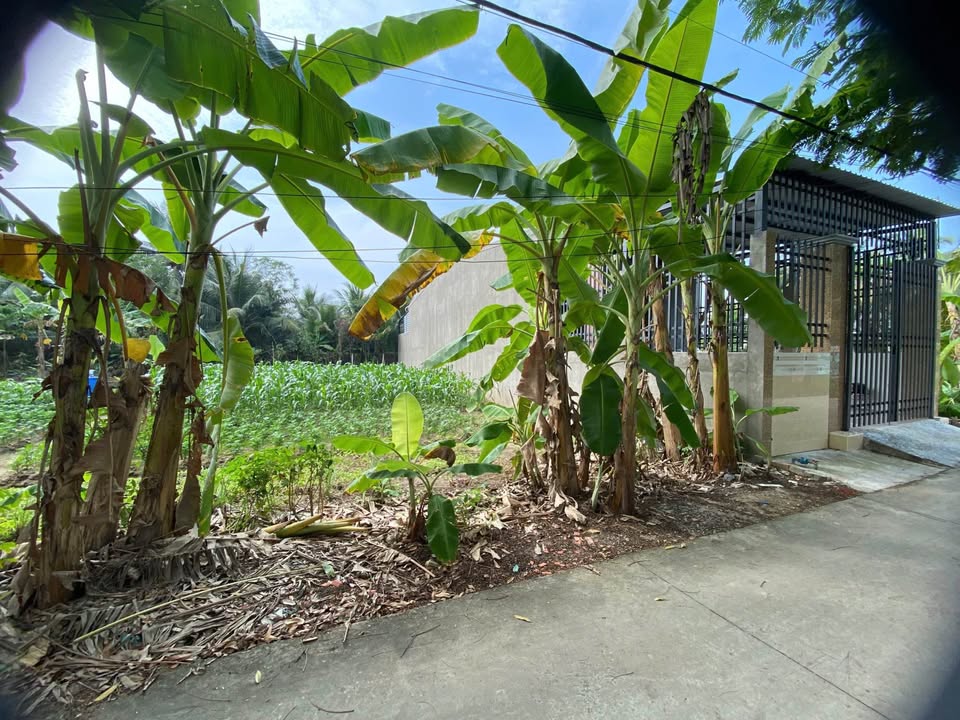 Đất nền ấp 4 Trung An 100m² giá 740 triệu - Đầu tư sinh lời ngay!