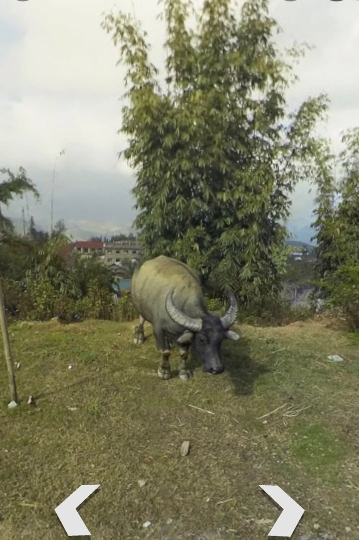 Đất nền Phường Sa Pả, Sa Pa 1.600m² giá thỏa thuận - View núi đồi tuyệt đẹp!