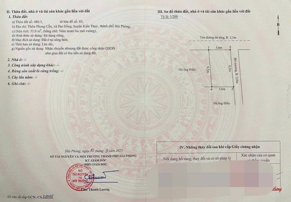 Đất nền mặt đường Phong Cầu, Đại Đồng, Kiến Thụy 53m² - Đầu tư sinh lời ngay!