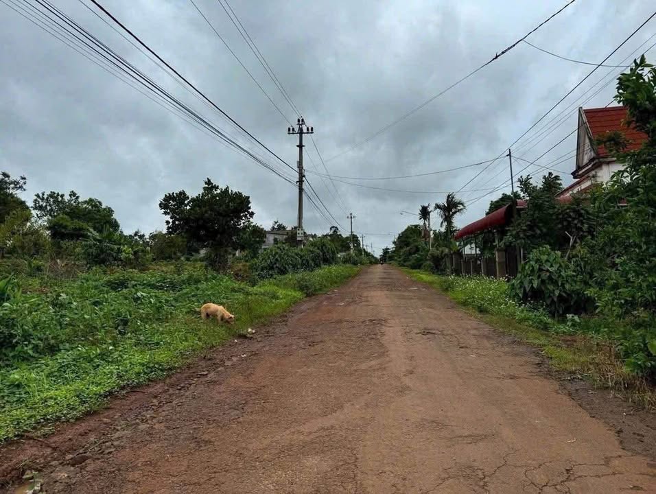 Đất mặt tiền đường nhựa HHen, Cư Suê 168m² chỉ 555 triệu - Cơ hội vàng cho nhà đầu tư!