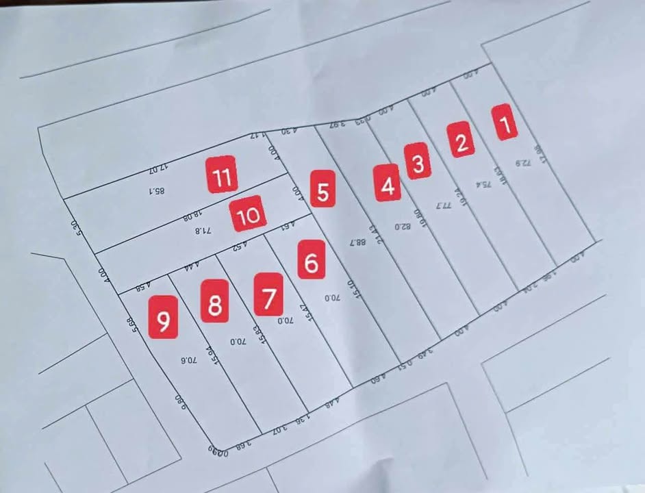 Đất nền Đại Đồng, Tiên Du, Bắc Ninh 80m² giá chỉ 2.5 tỷ - Đầu tư sinh lời ngay!