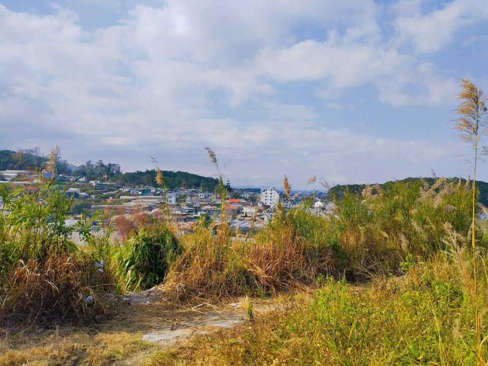 Lô đất nền Đường Y Dinh, P. Cam Ly, Đà Lạt 240m² giá 1.8 tỷ - Đầu tư sinh lời!