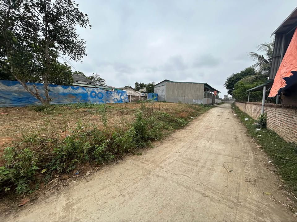 Đất nền liền kề TDP Đội Cấn 1, huyện Văn Chấn - Giá chỉ từ 700 triệu!