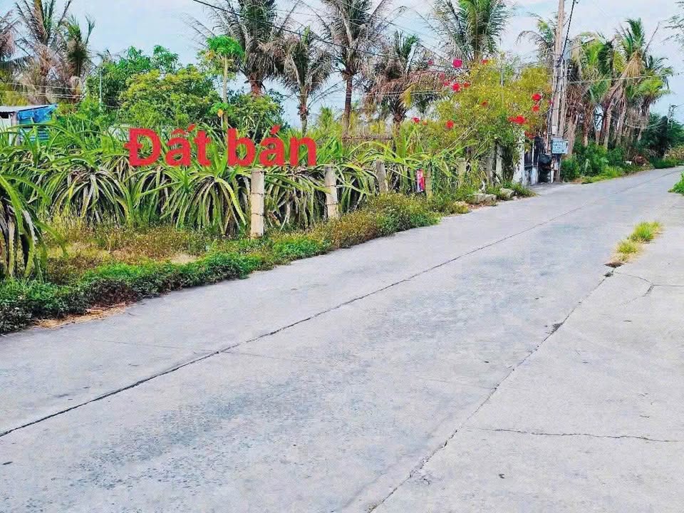 Đất nền thổ cư 1000m² tại Thôn Tiến Hưng, Phan Thiết - Giá chỉ 1.85 tỷ!