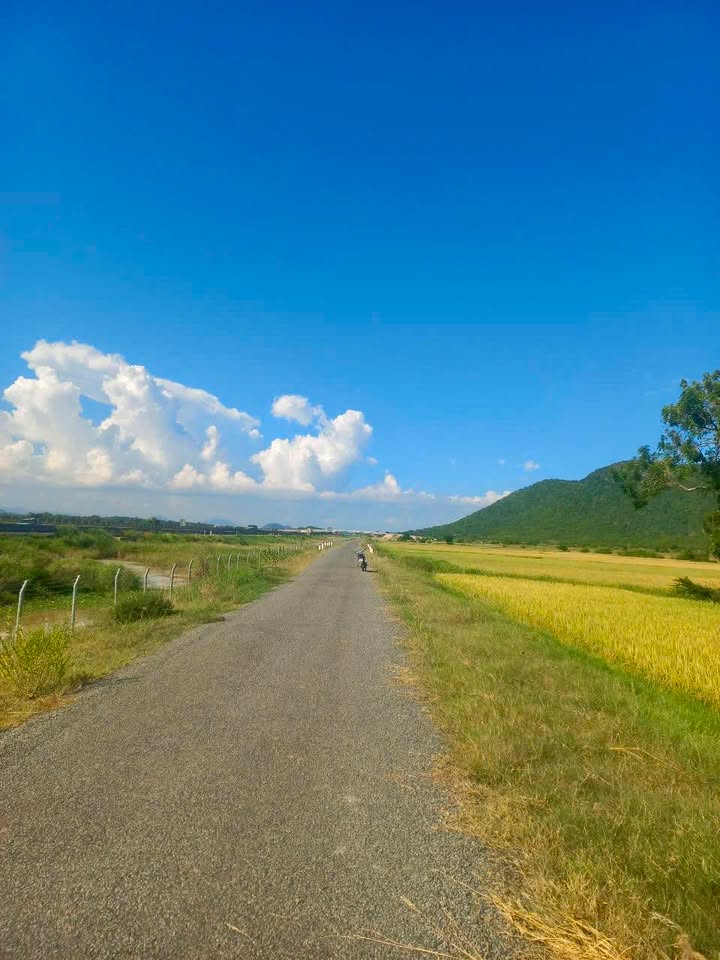 Đất Cây Hãi Ninh Bắc Bình 2.222m², Mặt Tiền Nhựa Dân Sinh - Giá Bán 268 Triệu, Phù Hợp Làm Nhà Vườn