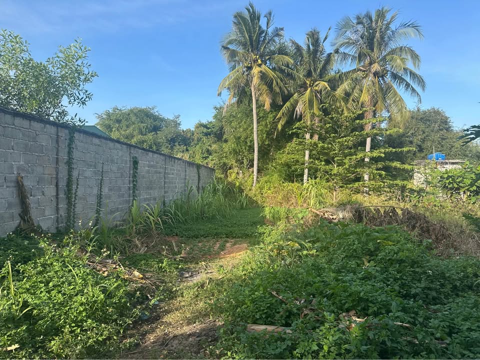 Đất nền Phan Thiết 125m² giá 2 tỷ - Hẻm ô tô vào tận nơi!