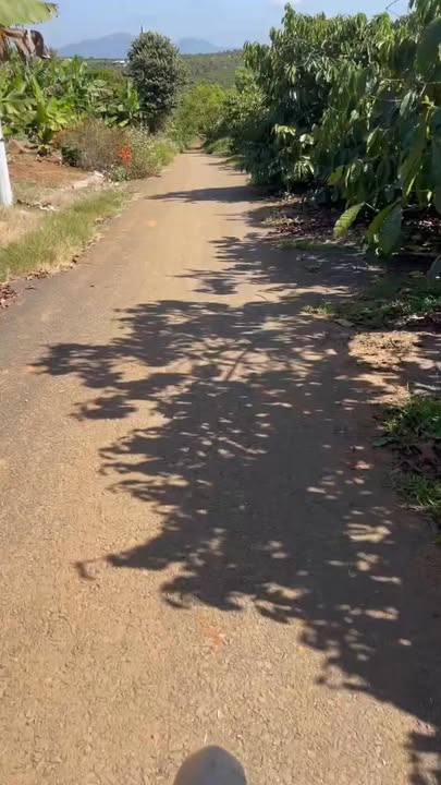 Đất nền Thôn 13, Xã Hoà Ninh, 2600m² chỉ 1.35 tỷ - Giá tốt, sẵn sàng giao dịch!