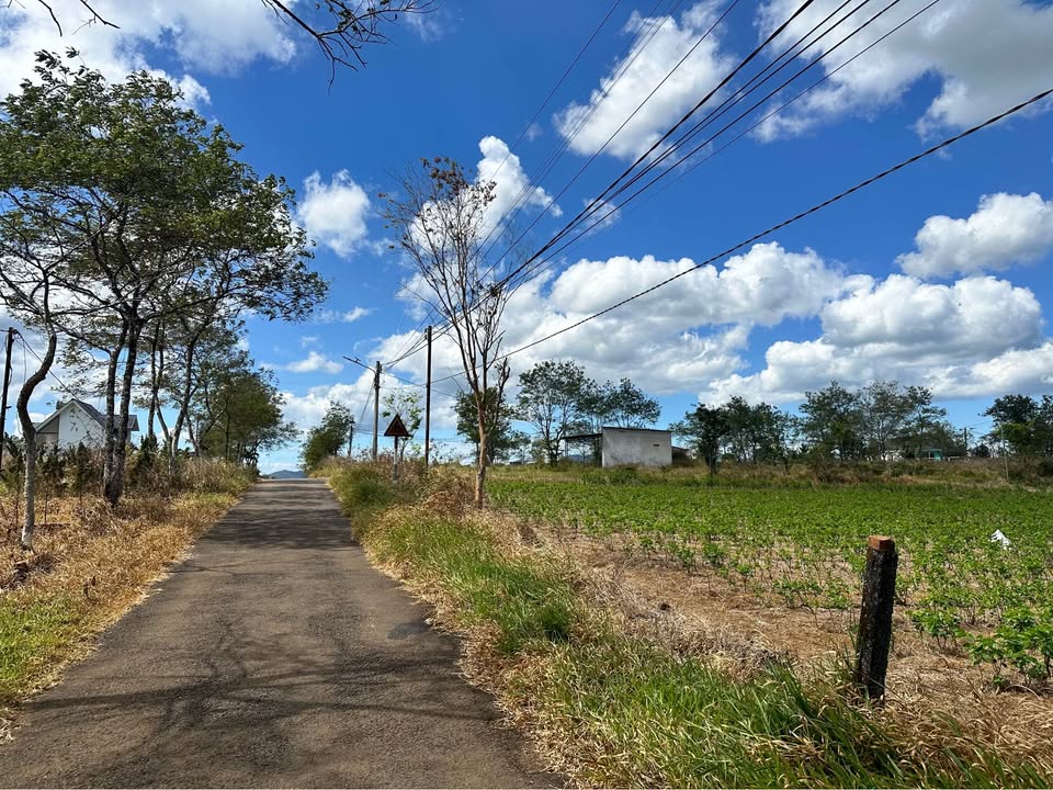 Đất nền 500m² Bảo Lộc giá chỉ 1.65 tỷ - Đầu tư lý tưởng!