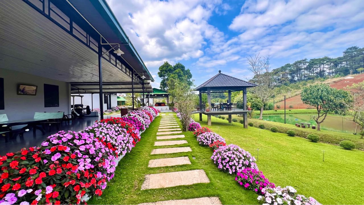 Đất thổ cư 1.000m² tại Bảo Lộc - Giá chỉ 3.6 tỷ - Sở hữu ngay vị trí đẹp!