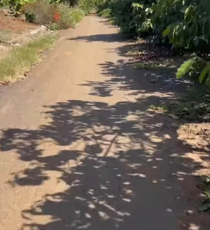 Đất nền thôn 13, xã Ninh Gia, 2600m² giá 1.35 tỷ - Cơ hội đầu tư tuyệt vời!