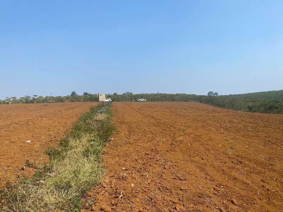 Đất nông nghiệp Lộc An, Bảo Lâm, Lâm Đồng 1000m² giá 720 triệu - Cơ hội đầu tư hấp dẫn!