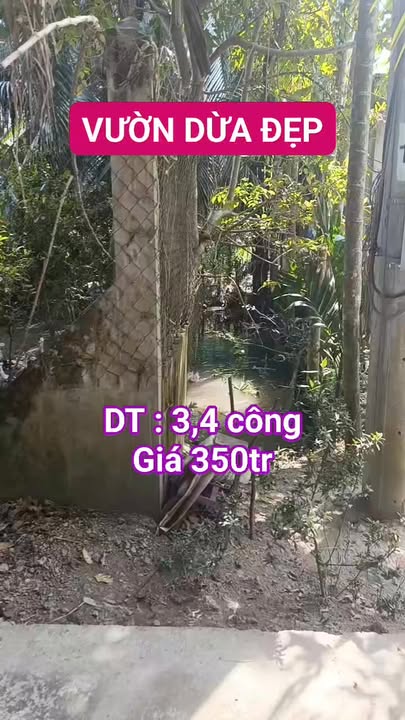 Farm dừa 3400m² tại Long Định, Đồng Tháp giá 1.2 tỷ - Đầu tư sinh lời!