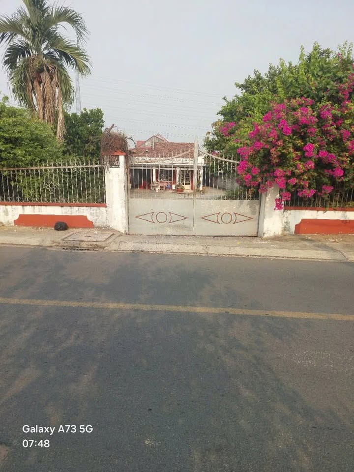 Xưởng sản xuất gỗ mặt tiền đường nhựa Đông Thạnh 2-3, Hóc Môn 1918m² giá chỉ 28 tỷ