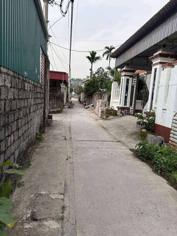 Đất nền Trung Lập, Phú Xuyên 106m² giá chỉ 3.195 tỷ - Đầu tư sinh lời ngay!