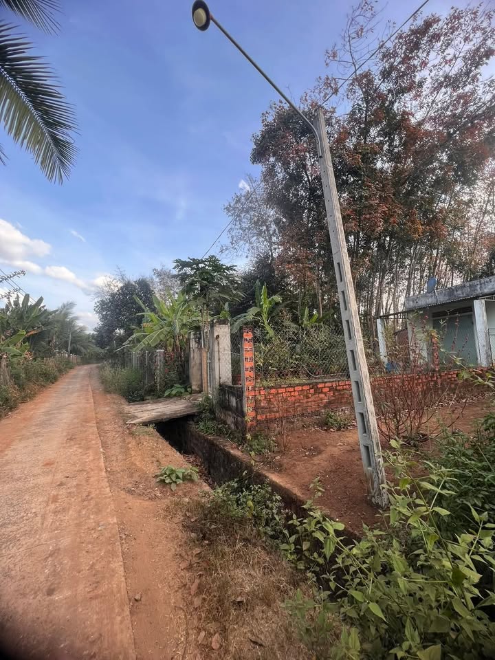 Đất nền Lộc Thiện, Huyện Lộc Ninh 300m² giá 395 triệu - Đầu tư sinh lời ngay!