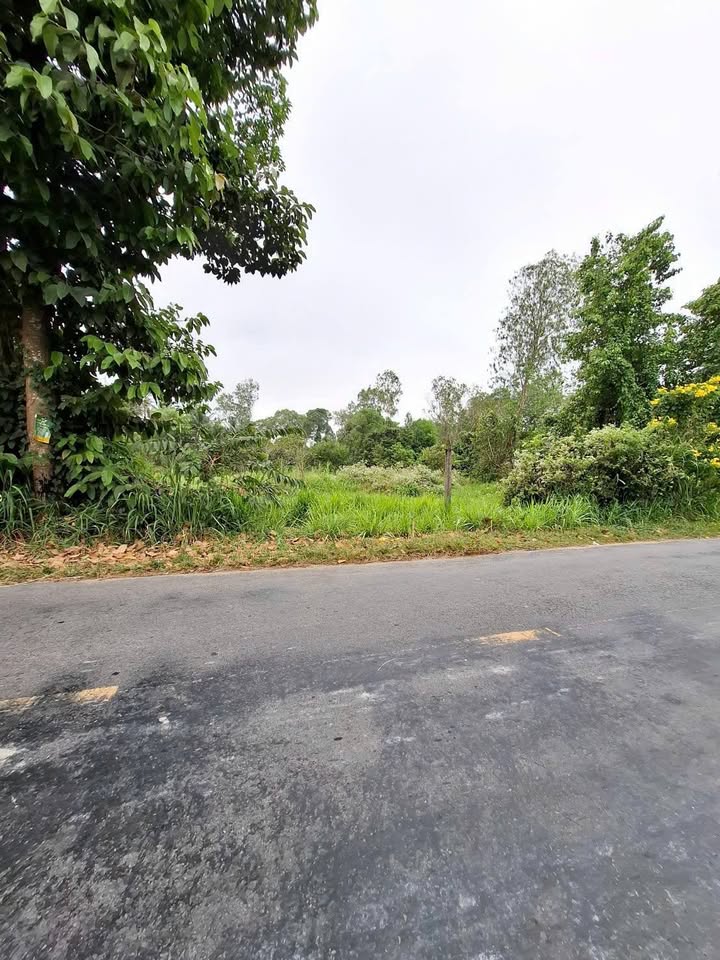 Đất mặt tiền Hương Lộ 13, Trà Vinh 264m² giá 650 triệu - Vị trí thuận lợi gần trung tâm