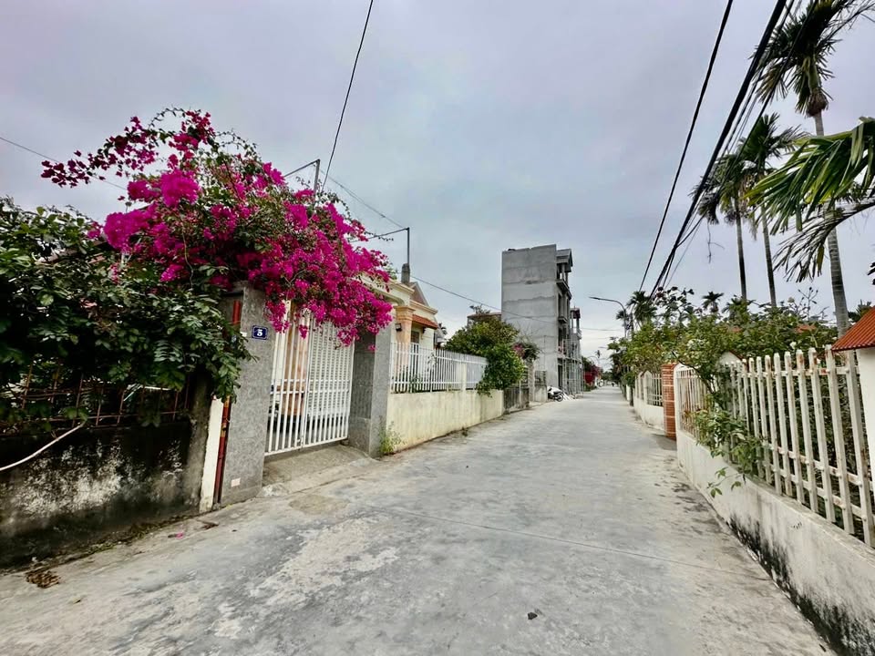 Đất chính chủ tại Kiến Phong, An Dương 61,5m² - Giá tốt chỉ 1 tỷ!