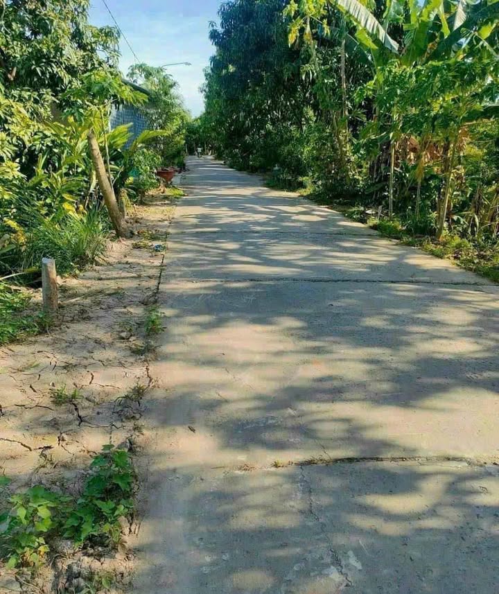 Đất nền đường Cái Tôm, Cao Lãnh 150,4m² giá 890 triệu - Cơ hội đầu tư hấp dẫn!