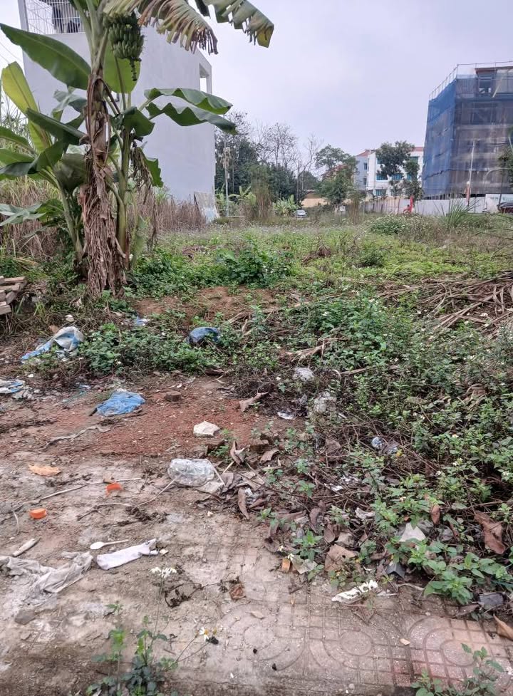 Lô đất 2 mặt đường Ngòi Châu, Yên Bái 100m² giá 3 tỷ - Cơ hội đầu tư hiếm có!