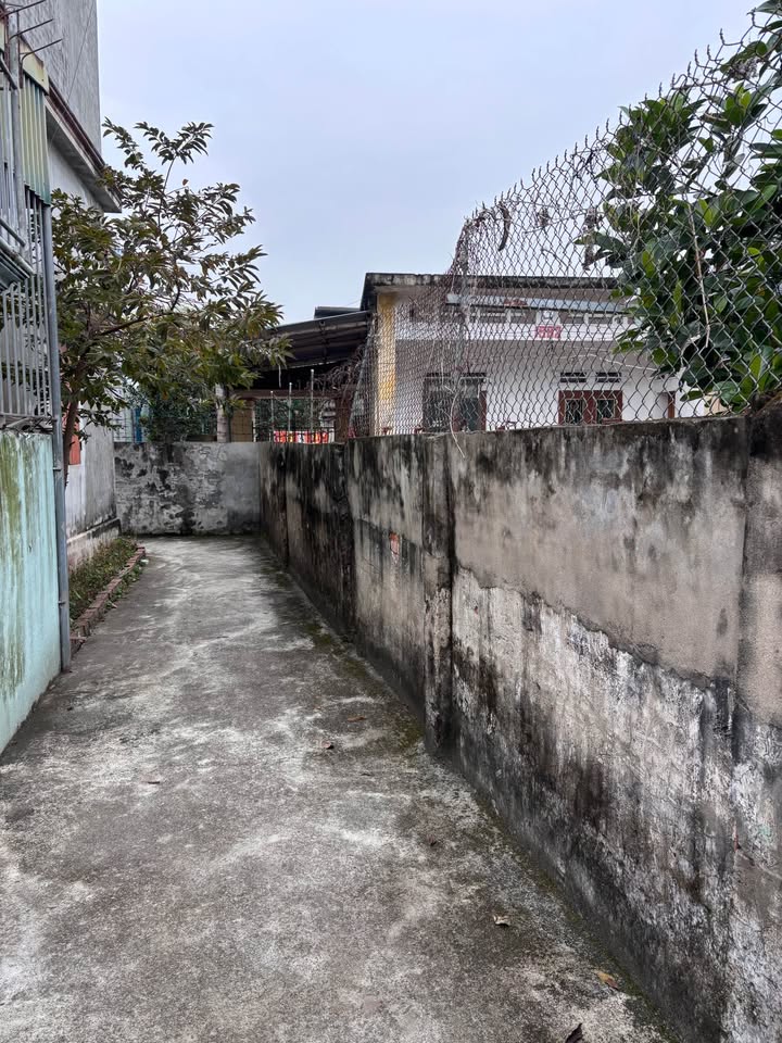 Đất thổ cư Vũ Hội 212m² giá 1.3 tỷ - Đầu tư sinh lời ngay!