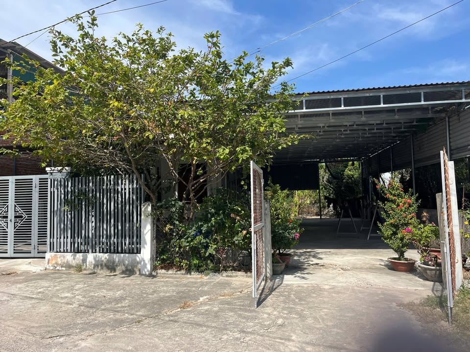 Lô đất Ninh Hải 195m² giá chỉ 3.9 tỷ - Cách bờ kè biển 200m