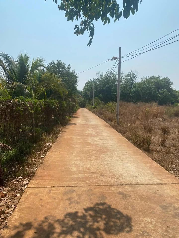 Đất nền xã Bình Tân, huyện Phú Riềng 150m² giá thỏa thuận - Đầu tư sinh lời ngay!