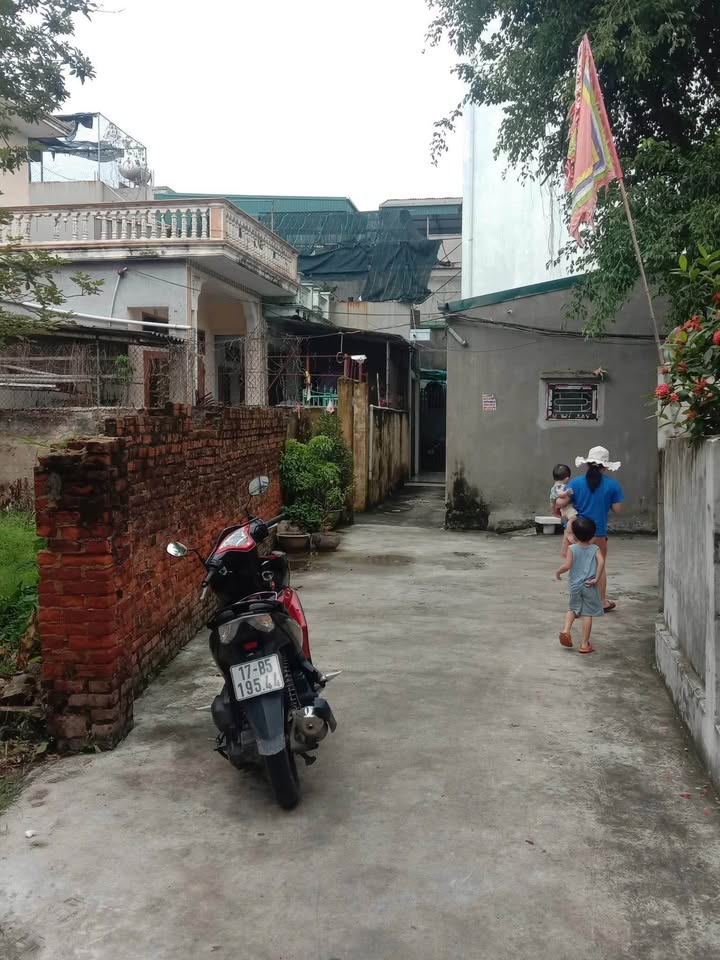 Đất nền Tổ 2 - Phường Trần Lãm - 50m² - Giá đầu tư hấp dẫn!