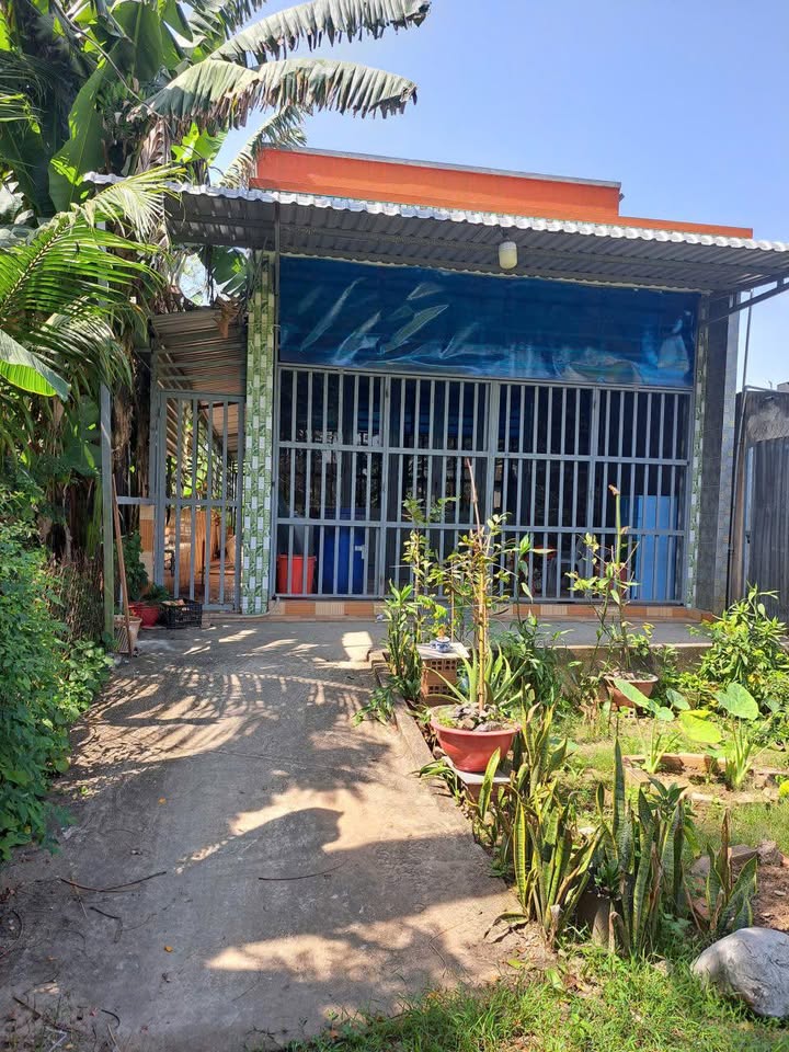 Đất thổ cư Ấp Bình Tả, Đức Hòa 120m² giá 1 tỷ - Cơ hội vàng cho nhà đầu tư!