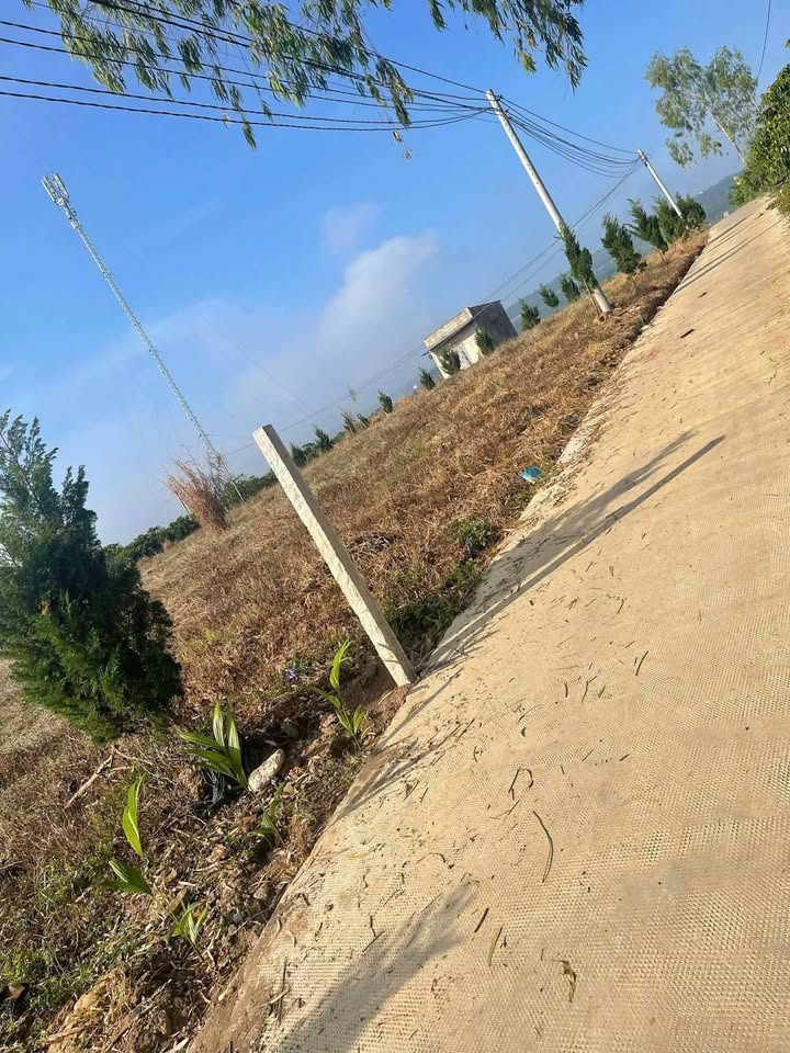 Đất nền tại Xã Tân Văn, Huyện Lâm Hà - 240m² chỉ từ 400 triệu - Đầu tư sinh lời ngay!