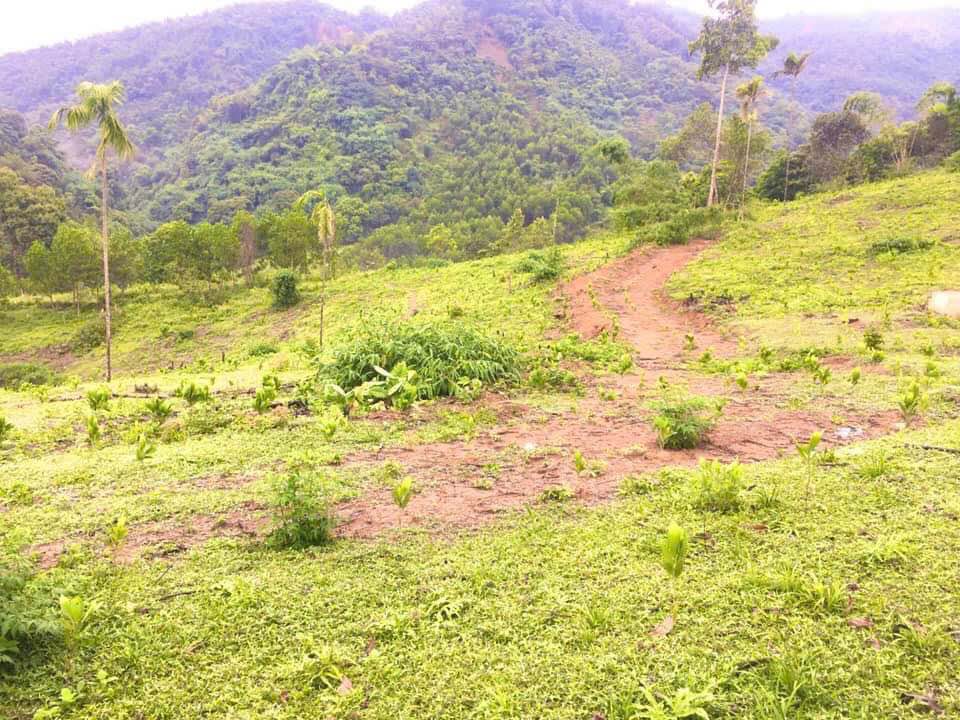 Đất nghỉ dưỡng Cao Dương Lương Sơn 1,7ha giá 3 tỷ - Tiềm năng phát triển lớn!