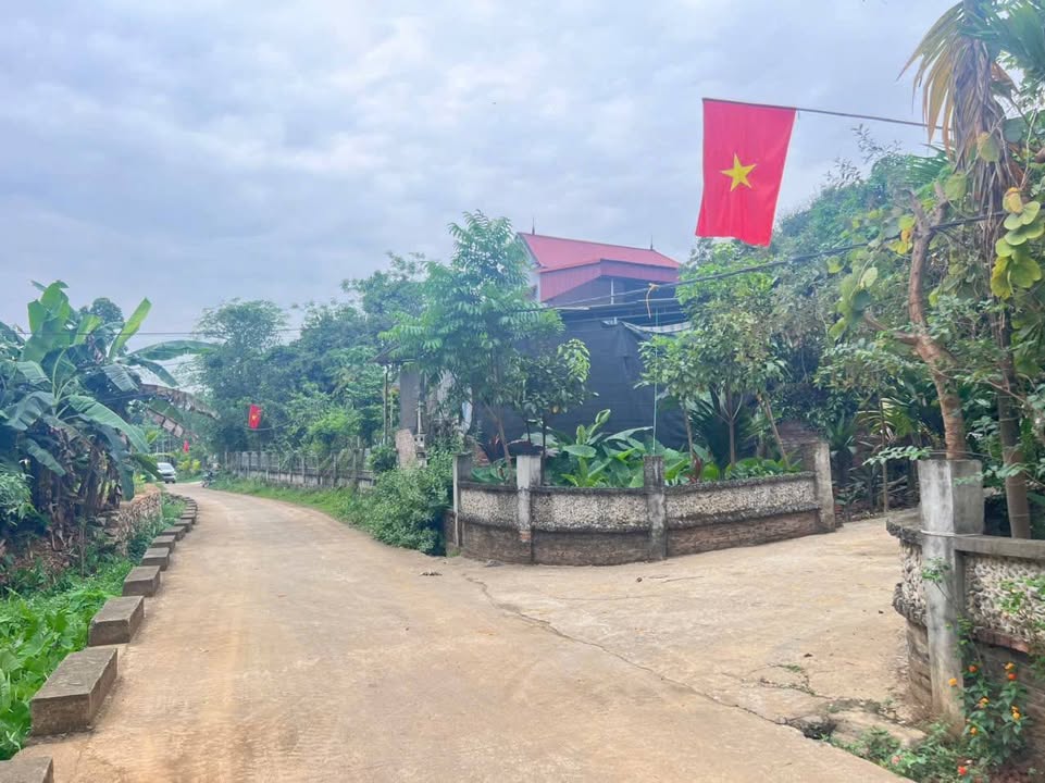 Đất nền Xóm Mỏ Ngô, Hợp Thành 669m² giá 1.338 tỷ - Cơ hội đầu tư vàng!