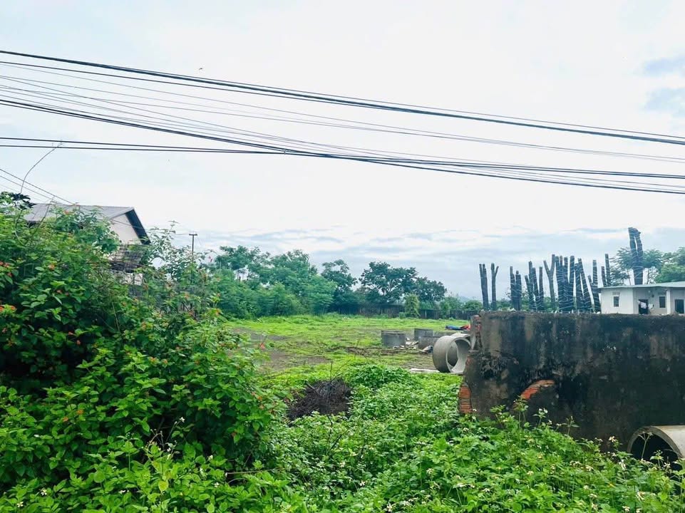 Đất nền siêu phẩm Dương Minh Châu, Pleiku 1013m² giá 4.1 tỷ - Đường rộng 20m, thuận tiện giao thông!