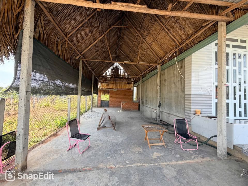 Đất 240m² Sổ Đỏ Chính Chủ, Gò Dầu - Giá Chỉ 4xx Triệu, Tặng Chòi Lá!