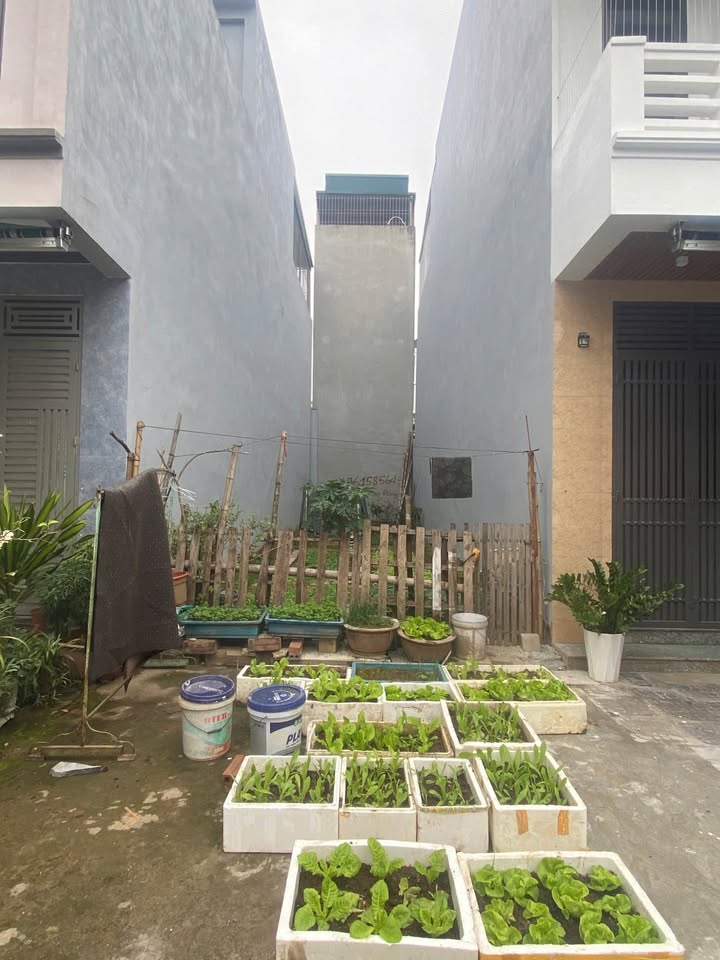 Đất nền Phường Đông Vệ, 64m² giá 4 tỷ - Sổ đỏ chính chủ, bán gấp!