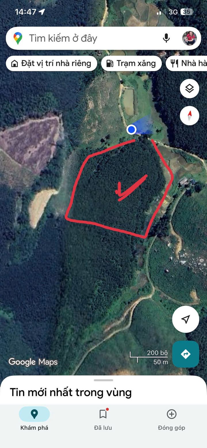 Đất nông nghiệp 2,3ha tại Xã Phượng Nghi - Giá thỏa thuận - Đầu tư tiềm năng!