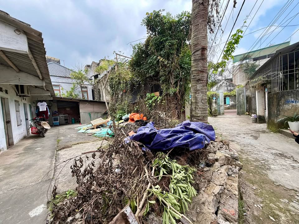 Đất nền Phường Đông Hương, Thanh Hóa 64m² giá 1.98 tỷ - Ngõ ô tô vào tận nơi!