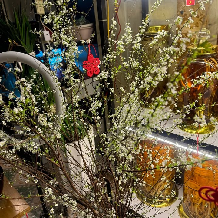 Nhà cấp 4 Tân Phong, 200m² giá 1.5 tỷ - Mặt tiền rộng 14m, vị trí thuận lợi!