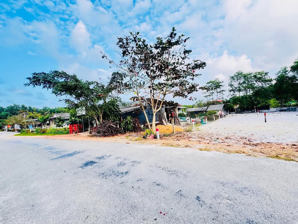 Đất nền mặt tiền Tỉnh lộ 6, Huyện Phong Điền, 226m² - Giá chỉ 500 triệu - Cơ hội đầu tư hấp dẫn!