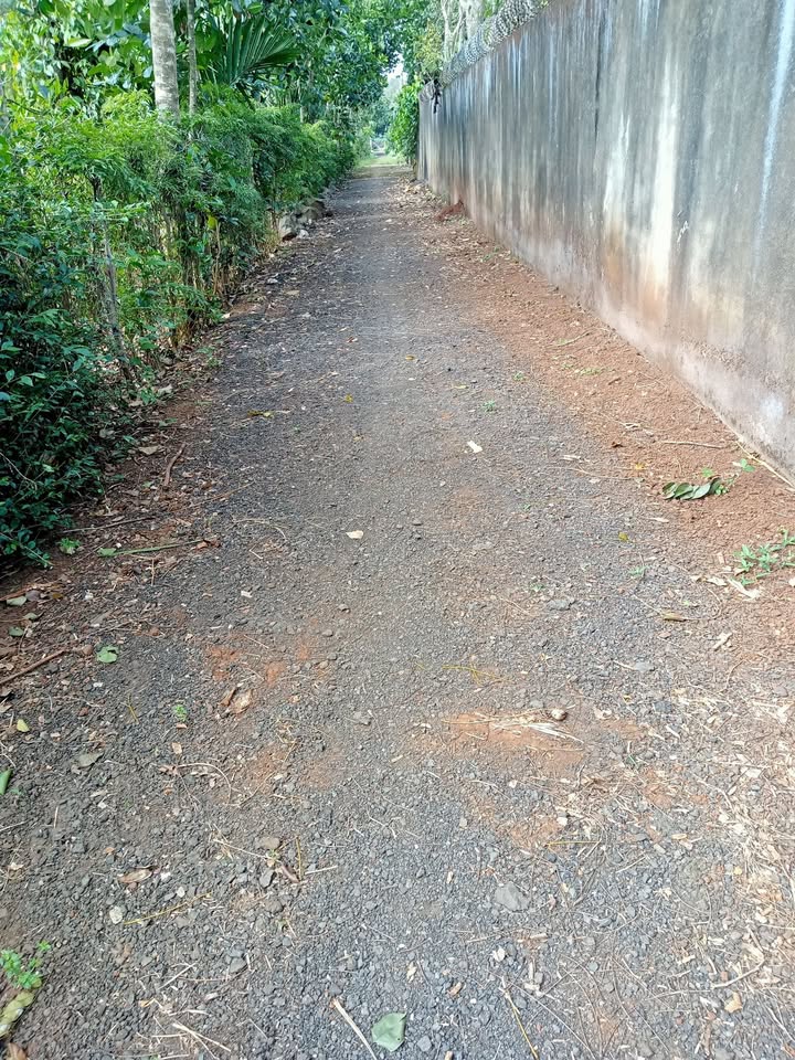 Đất nền tại EcoCity, Buôn Ma Thuột 138m² giá 650 triệu - Sổ đỏ chính chủ