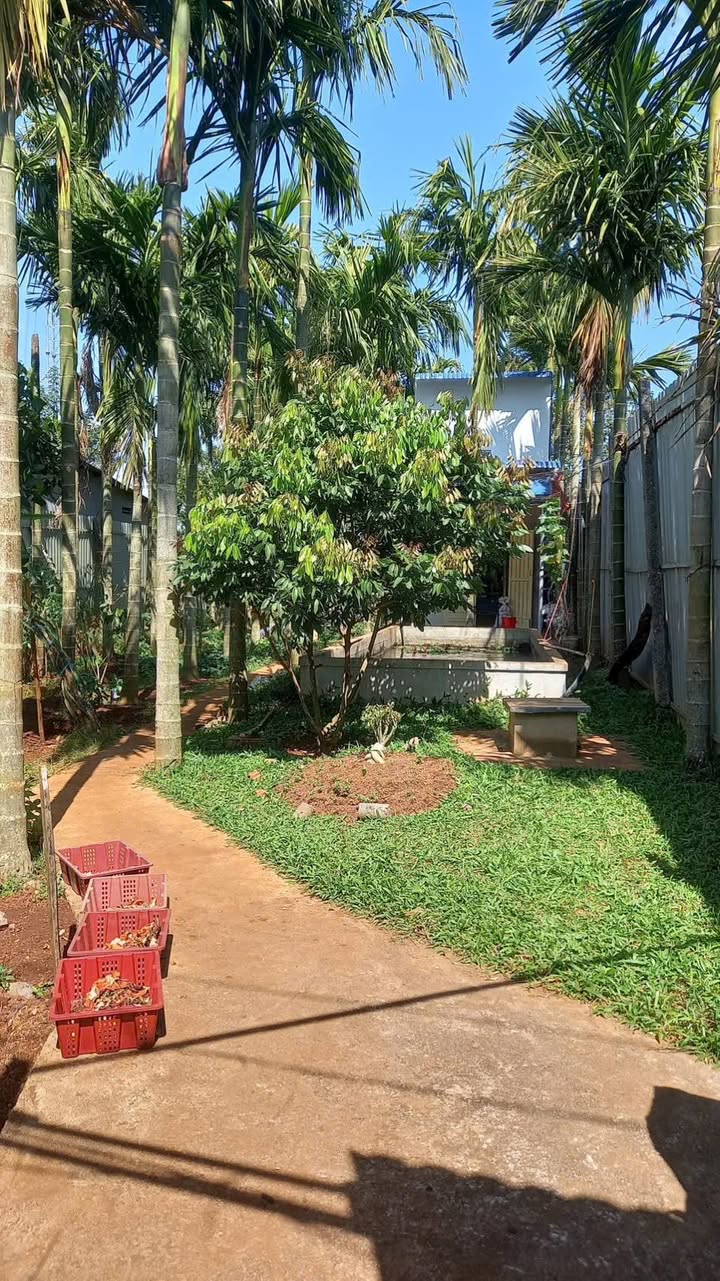 Đất & Nhà vườn Cư Bao, Đắk Lắk 500m² giá 1.9 tỷ - Tiện nghi đầy đủ, sẵn sàng đầu tư!